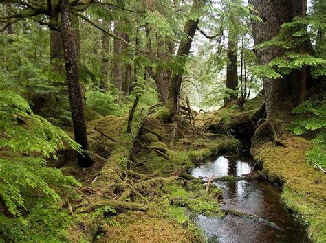 Gwaii Haanas National Park Reserve British Columbia Canada Haida