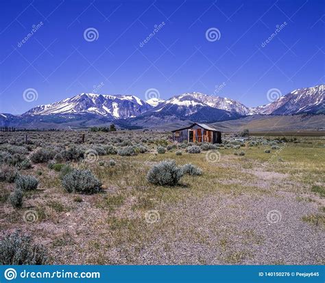 Des Res On The Prairie Stock Photo Image Of Magnificent 140150276