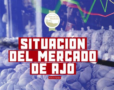 Situación Del Mercado De Ajo Revista Infoagro México