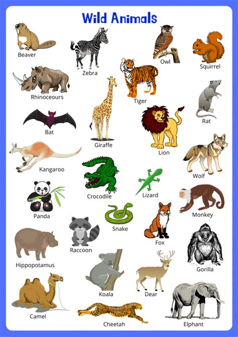 Wild Animals Flashcards English4good Vocabulary Time