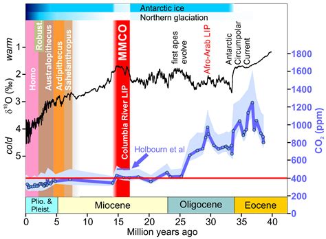 The Miocene Era Climate Life And More Explified