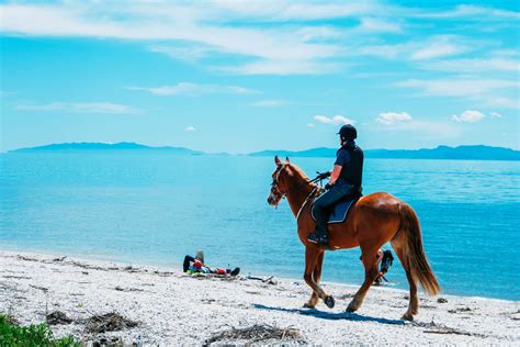 Where To Go Horseback Riding In The Caribbean