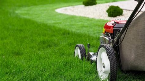 How To Plant And Grow Lawn Guide By Fantastic Gardening Pros