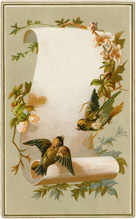 Vintage Birds Label Image Lovely The Graphics Fairy