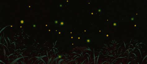 Fireflies  Find And Share On Giphy