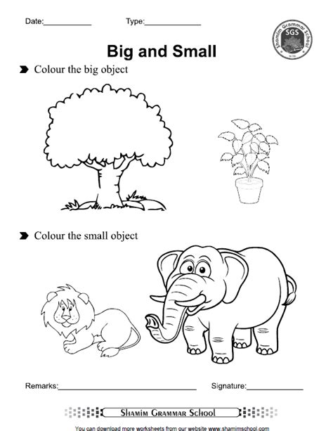 Big And Small Concept Free Printable Worksheet For Class Playgroup And