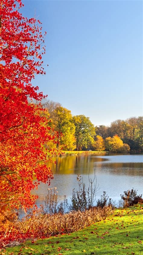 Autumn Trees Iphone Lake Wallpapers Wallpaper Cave