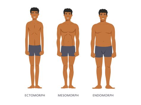 3 Main Body Types Of Men And How To Tell Them Apart - Mindvalley Blog