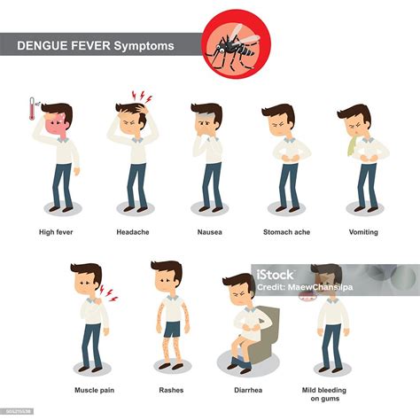Dengue Symptoms Stock Vector Art And More Images Of Adult 505215538 Istock
