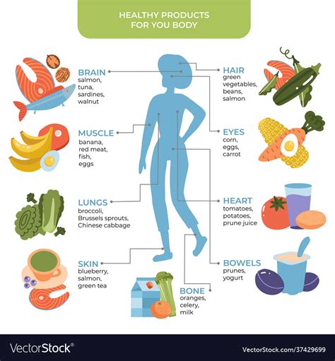 Healthy Food For Human Body Concept With Female Vector Image