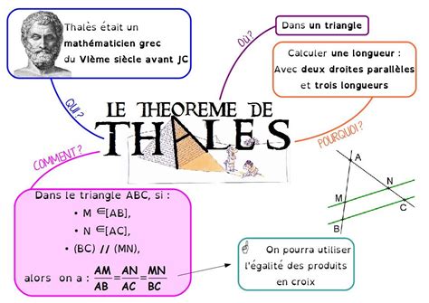 Théorème de Thalès, en 4ème | Théorème de thalès, Mathématiques collège
