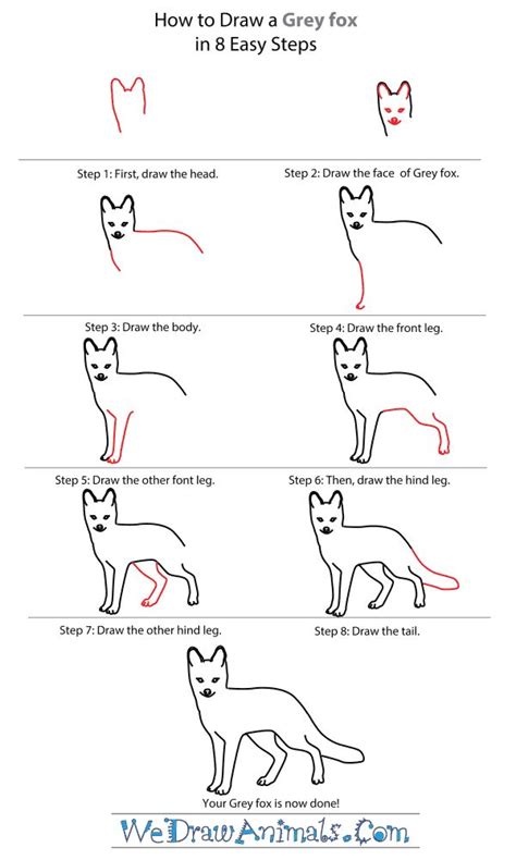 How do you draw fox for kids? Easy Drawing Tutorials - How To Draw A Grey fox. | Easy ...