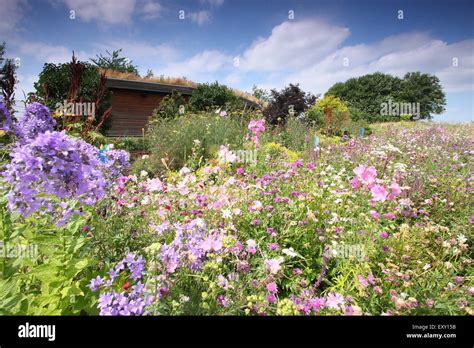 Wildflowers Grow In Gardens Surrounding The Green Roofed Discovery