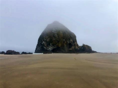 Mike Warner on Twitter: "BEACH COUGAR UPDATE… currently at Cannon Beach