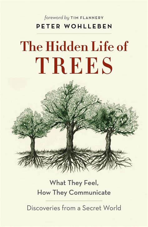 The Hidden Life Of Trees Find A Spark
