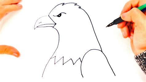 Cómo Dibujar Un Águila Paso A Paso Dibujo Fácil De Águila Youtube