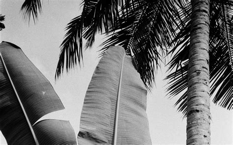 Colby Lengel | Sarasota Real Estate Agent