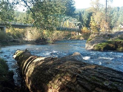 Deerhorn bridge near Leaburg Oregon | River, Outdoor, Water