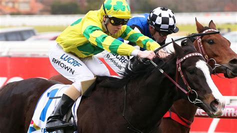 Best Bets Tips Flemington Races Raceday Focus With Michael Manley And