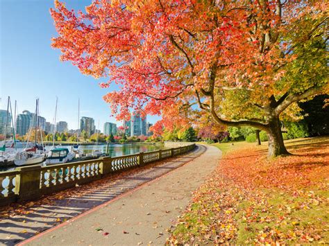 21 Best Things To Do In Vancouver