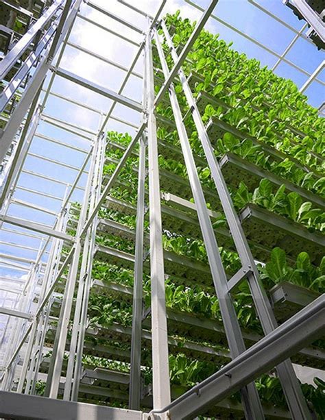 Top 11 Incredible Vertical Farming Architecture Design Inspirations