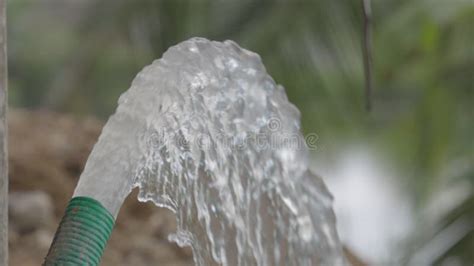 Water Flows From The Hose A Stream Of Clean Water From A Garden Hose Water Flow In Slow Motion
