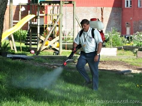 Mosquitoes are annoying, relentless and can pose a health risk for your family. Backyard Mosquito Treatment - Family Window Cleaning and ...