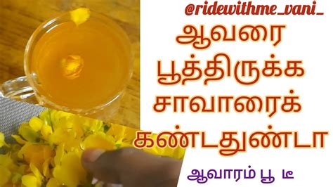 ஆவாரம் பூ டீ நன்மைகள் Benifits Of Aavaram Poo Tea Youtube