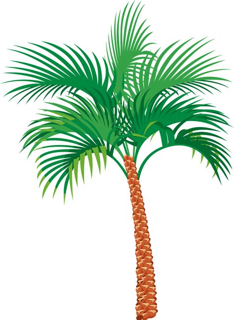 Download Palm Tree Nature Exotic Royalty Free Vector Graphic Pixabay
