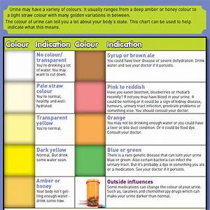 9 Sample Urine Color Charts Pdf Sample Templates