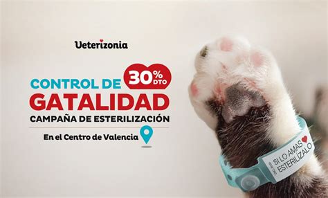 Campaña esterilización gatos Valencia Veterizonia