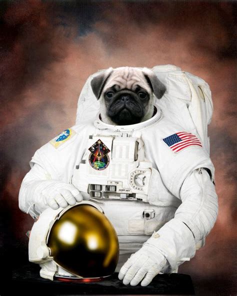 Love This Pug Astronaut Available At Trending