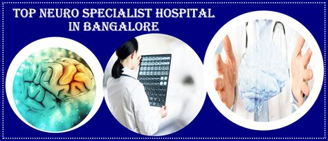 Best Neuro Hospital In Bangalore Famous Neuro Hospital