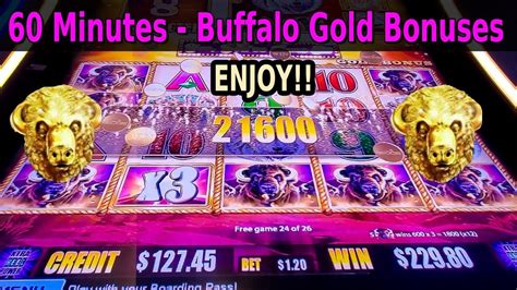💰buffalo Gold Slot Machine Wins And Bonuses 60 Minute Compilation