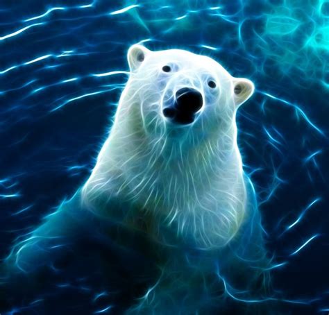 Animal Fractals Days Ago Polar Bear Made Out Of Fractals