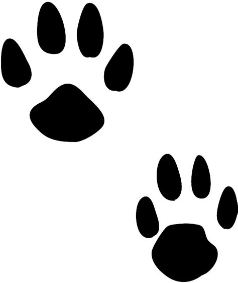 How To Draw A Tiger Paw Print Free Download On Clipartmag