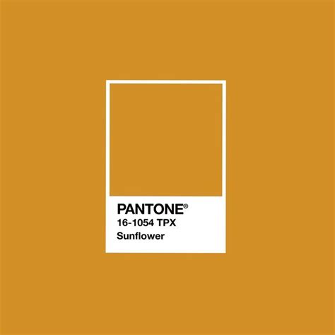 Sunflower Color Palette Pantone Pantone Colour Palettes Pantone