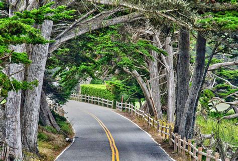 Maybe you would like to learn more about one of these? Carmel-by-the-Sea Travel Cost - Average Price of a ...