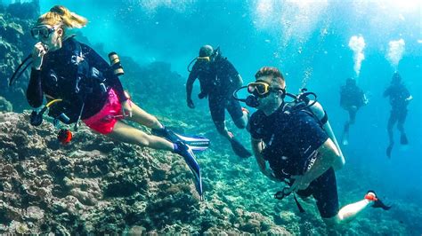 See sharks within inches of your face without needing any swimming skills. SCUBA DIVING WITH SHARKS! - YouTube