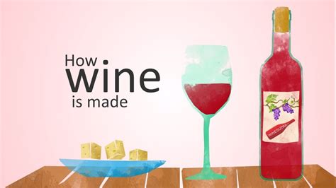 How Wine Is Made Animation Youtube