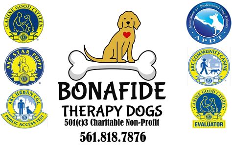 AKC THERAPY DOG TITLES