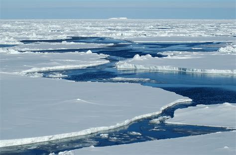Chlamydia Related Bacteria Discovered Deep Below The Arctic Ocean Wur
