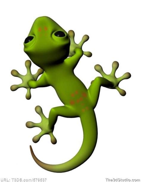 37 Best Images About Geckolizardjade On Pinterest Snakes Garden