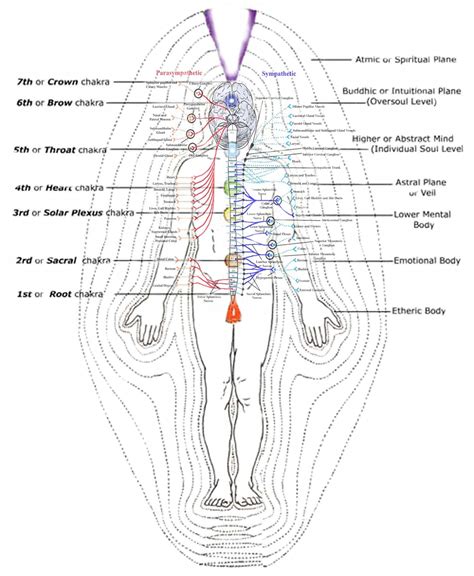 The Re Discovery Of The Human Energy Field Think Smarter World