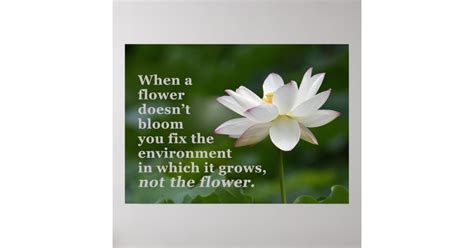 When A Flower Doesnt Bloom Poster Zazzle