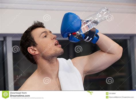 Boxer Drinking Water Stock Image Image Of Motion Bottle 33128981