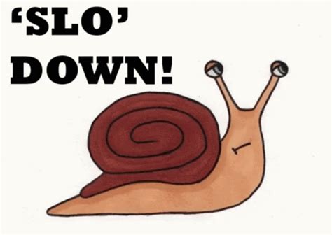 Snail Slow Down Funny Meme 