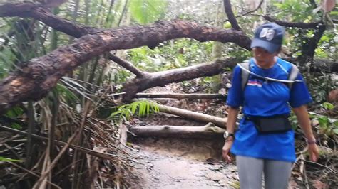 Bukit puchong, wawasan hill @ puchong, selangor: Hiking Trails for Beginers at Bukit Wawasan Puchong - YouTube