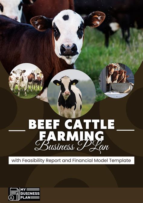 Beef Cattle Farming Business Plan With Feasibility Report And