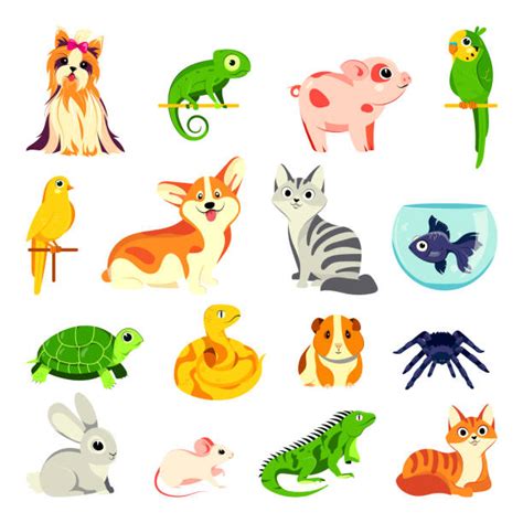 Domestic Animals Illustrations Royalty Free Vector Graphics And Clip Art